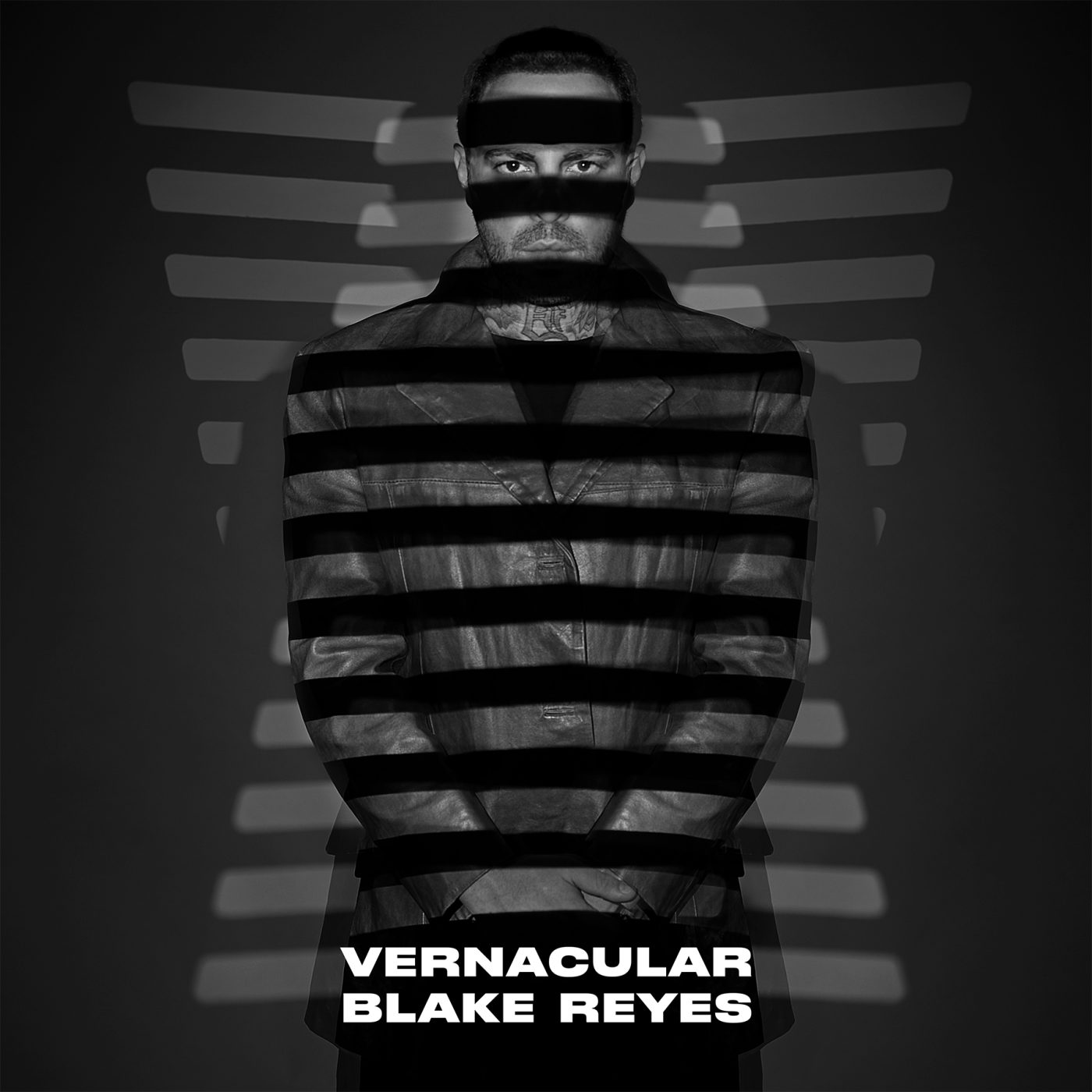 Blake reyes vernacular double vinyl axis records